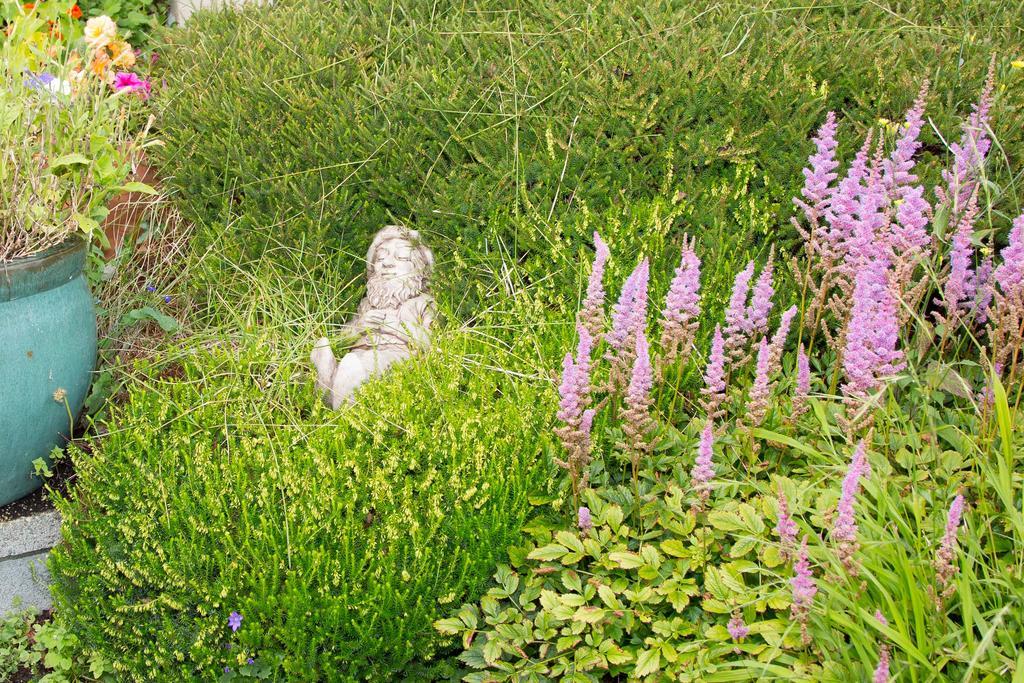 Doireliath Bed & Breakfast Bantry Exterior foto